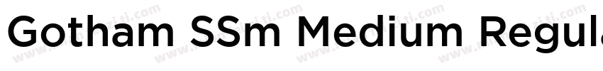 Gotham SSm Medium Regular字体转换